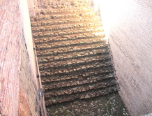 Лестница из Камня в Колизее