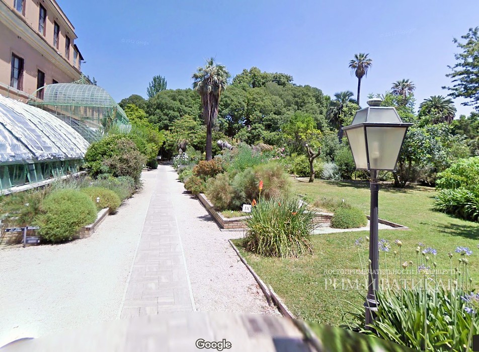 Одна из аллей Ботанического сада в Риме